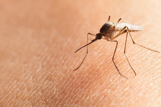 Malaria alone accounts for over half a million fatal infections annually.